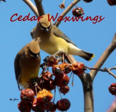 Cedar Waxwings book cover