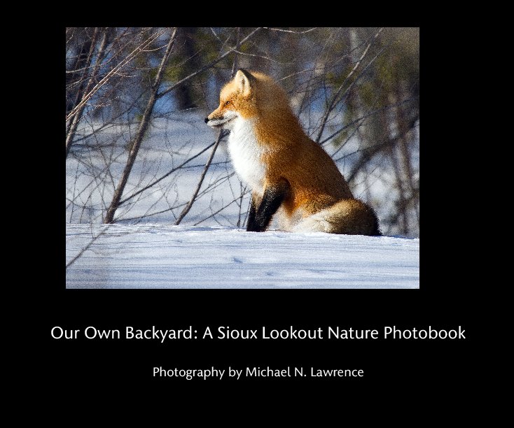 Ver Our Own Backyard: A Sioux Lookout Nature Photobook por Photography by Michael N. Lawrence