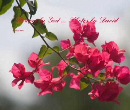 Flowers by God ... Photos by David God is the artist. His creation is beautiful. He has given us eyes to see and hearts to praise him for his glory revealed in creation. He has given me the the privilege of capturing that beauty in photographs. I began my book cover
