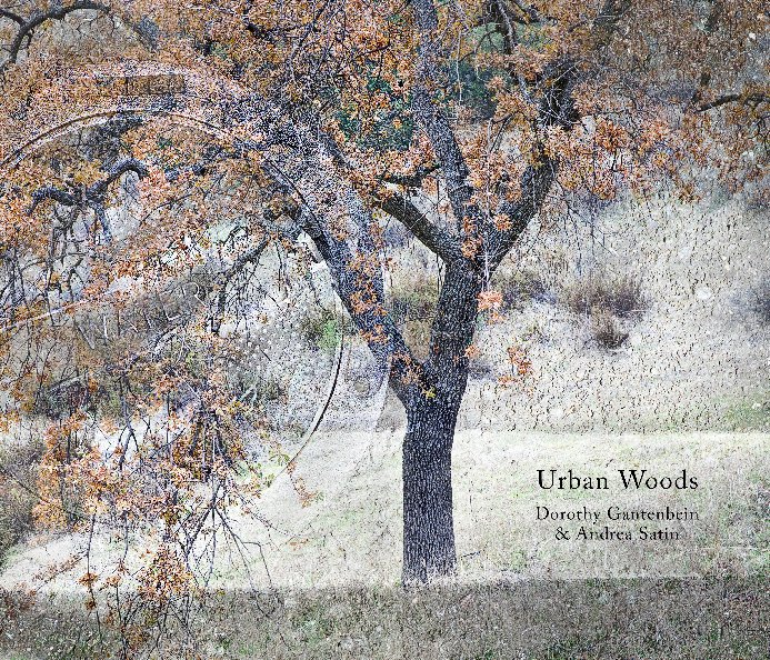 View Urban Woods by Dorothy Gantenbein & Andrea Satin