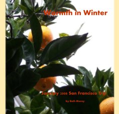 Warmth in Winter book cover