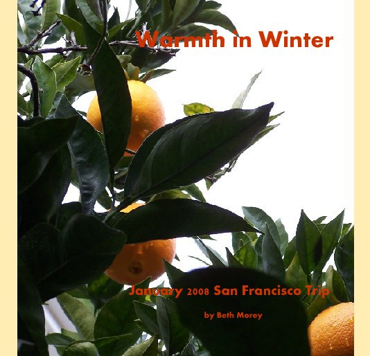 Ver Warmth in Winter por by Beth Morey