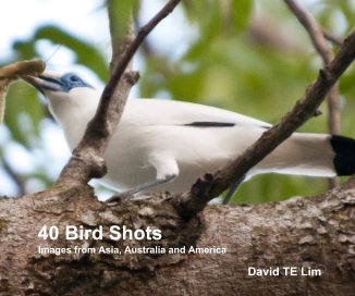 40 Bird Shots book cover