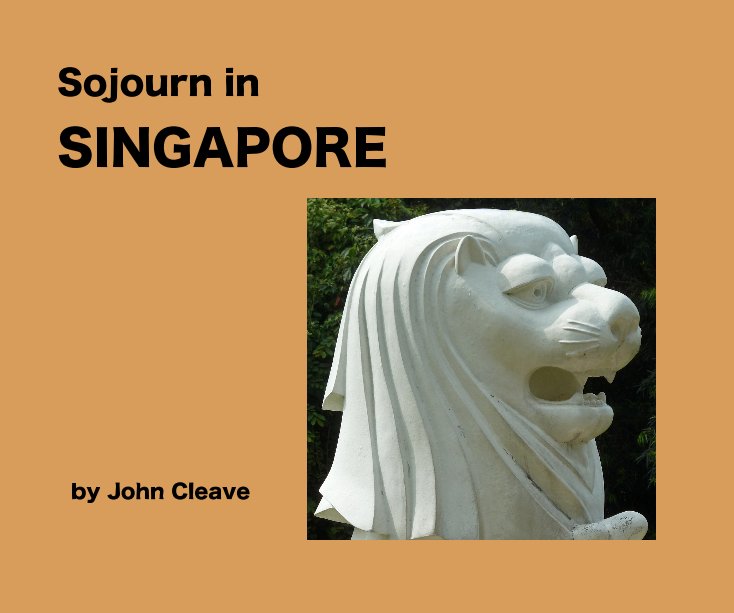 View Sojourn in SINGAPORE by John Cleave
