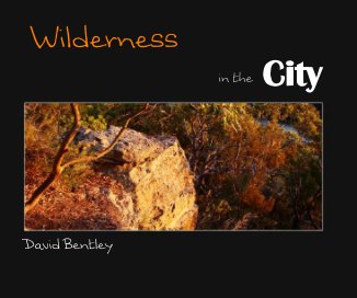 Wilderness in the City book cover