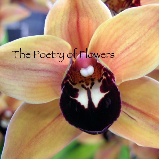 View The Poetry of Flowers by Eileen713