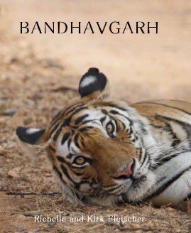 BANDHAVGARH book cover