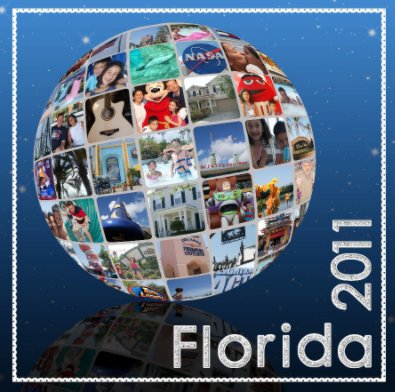 Florida 2011 book cover