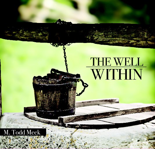 View The Well Within by M. Todd Meek