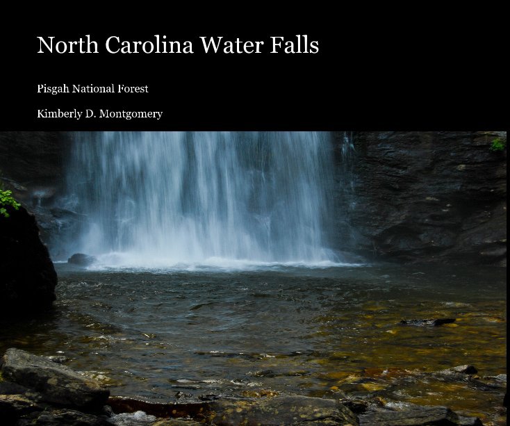 View North Carolina Water Falls by Kimberly D. Montgomery