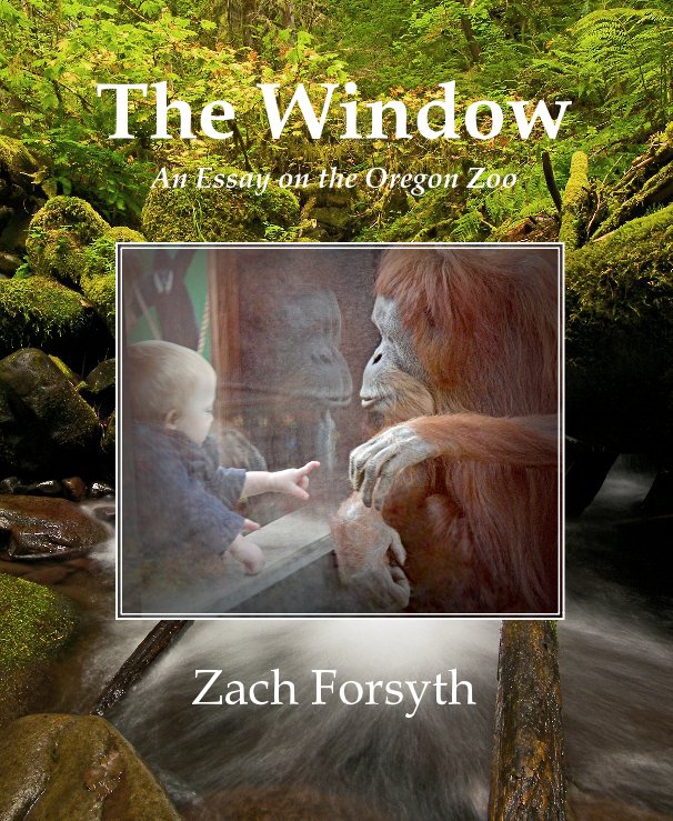 View The Window An Essay on the Oregon Zoo by Zach Forsyth