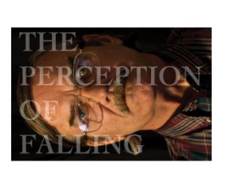 The Perception of Falling book cover