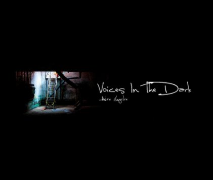 Voices In The Dark book cover