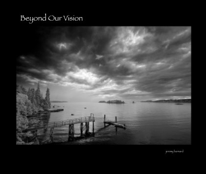 Beyond Our Vision  13" x 11" book cover
