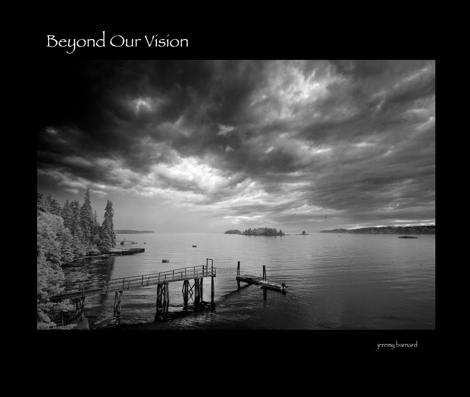Ver Beyond Our Vision  13" x 11" por jeremy barnard