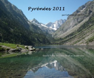 Pyrénées 2011 book cover