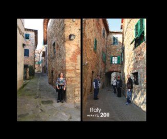 Italy 2011 book cover