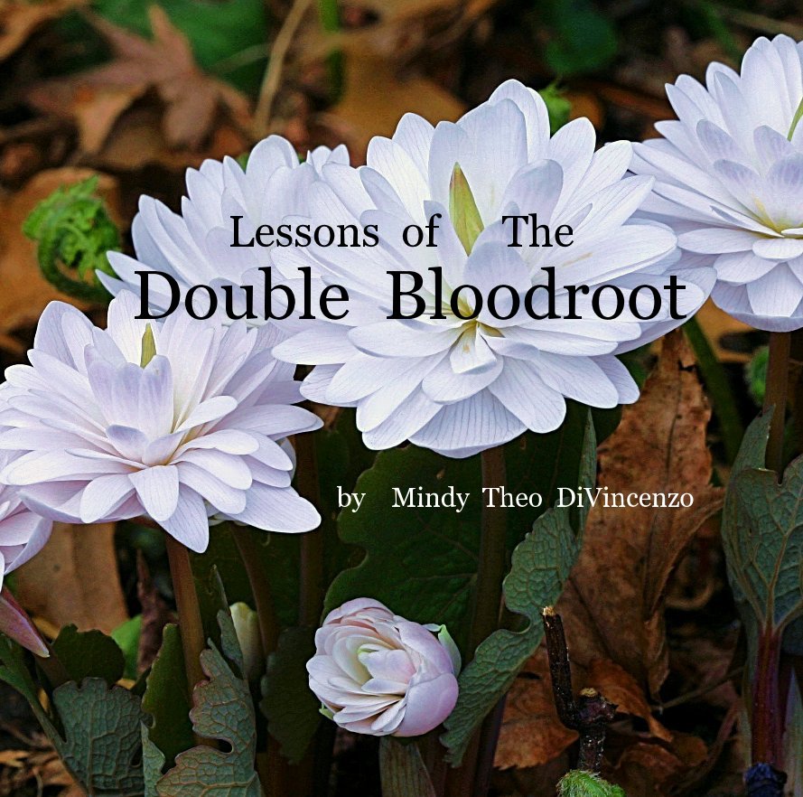 View Lessons of The Double Bloodroot by Mindy Theo DiVincenzo
