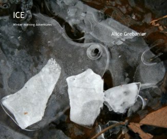 ICE book cover