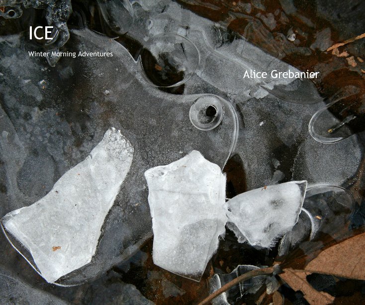 View ICE by Alice Grebanier