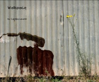 Wallspace book cover