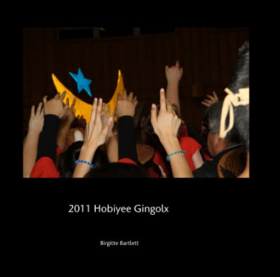 2011 Hobiyee Gingolx book cover