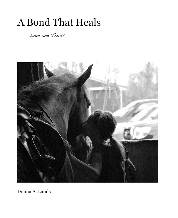 View A Bond That Heals by Donna A. Lands