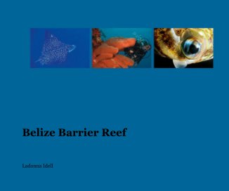 Belize Barrier Reef book cover
