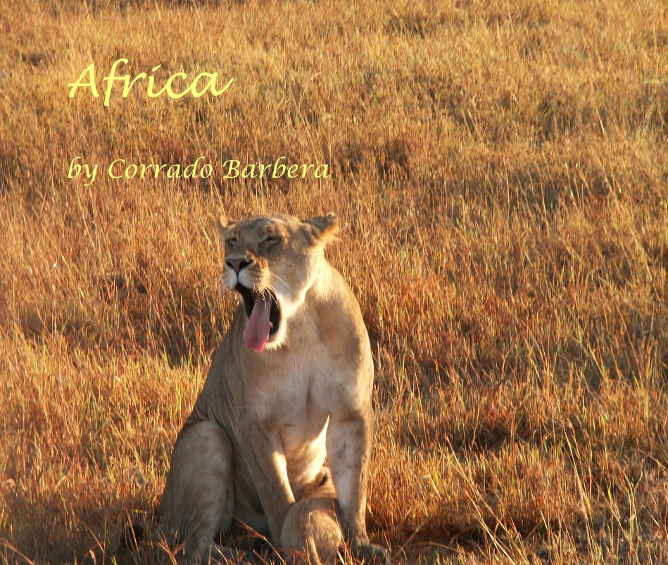 View Africa by Corrado Barbera