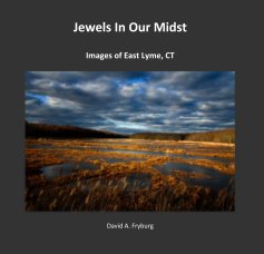 Jewels In Our Midst book cover