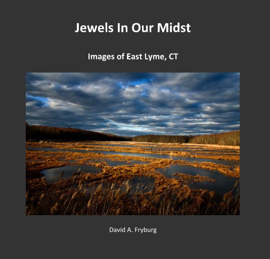 View Jewels In Our Midst by David A. Fryburg