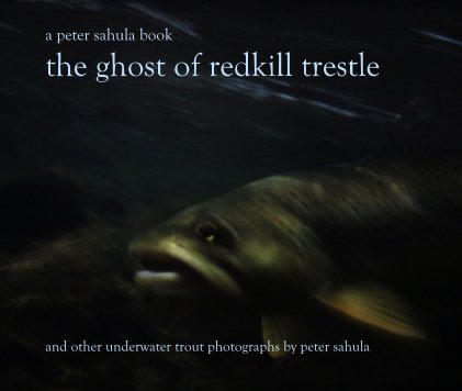 the ghost of redkill trestle book cover