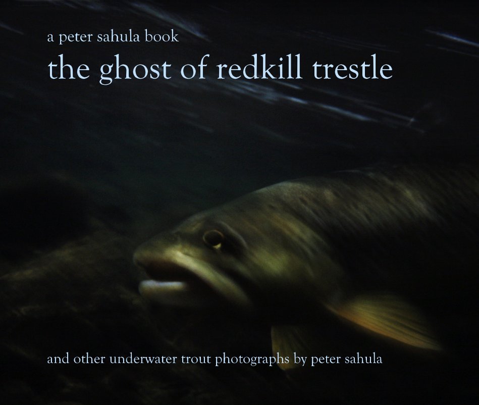 View the ghost of redkill trestle by peter sahula