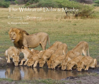 The Wildest of Duba & Mombo book cover
