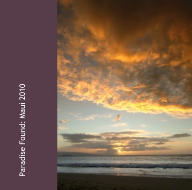 Maui 2010 book cover