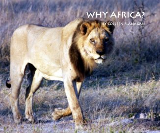 Why Africa? book cover