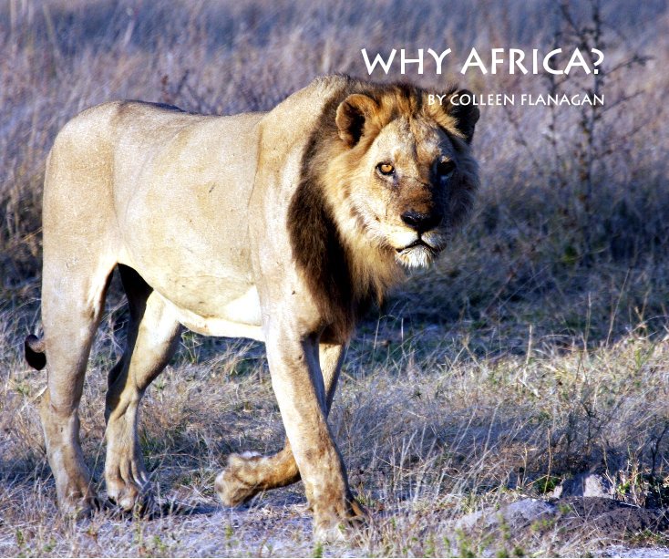 View Why Africa? by Wyndoe