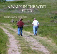 A WALK IN THE WEST WIND book cover