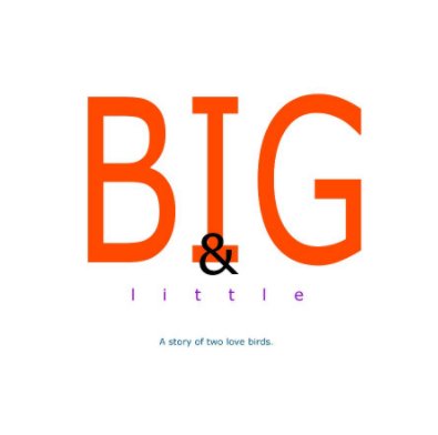 BIG & little book cover
