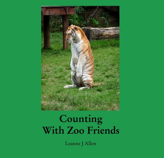 View Counting
With Zoo Friends by Leanne J Allen