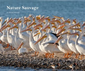 Nature Sauvage book cover