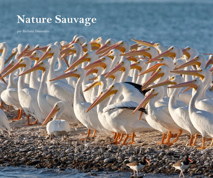 View Nature Sauvage by Richard Dumoulin