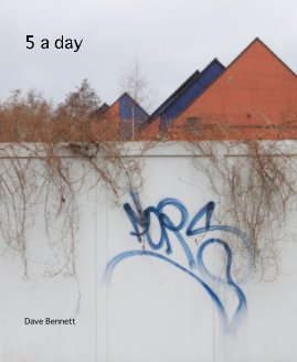 5 a day book cover