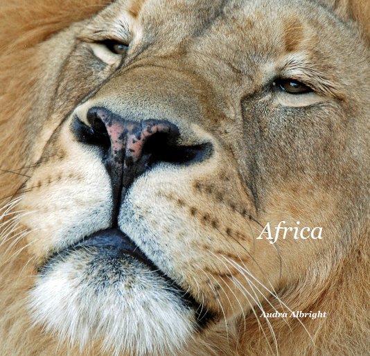 Ver Africa por Audra Albright