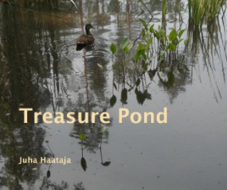 Treasure Pond book cover