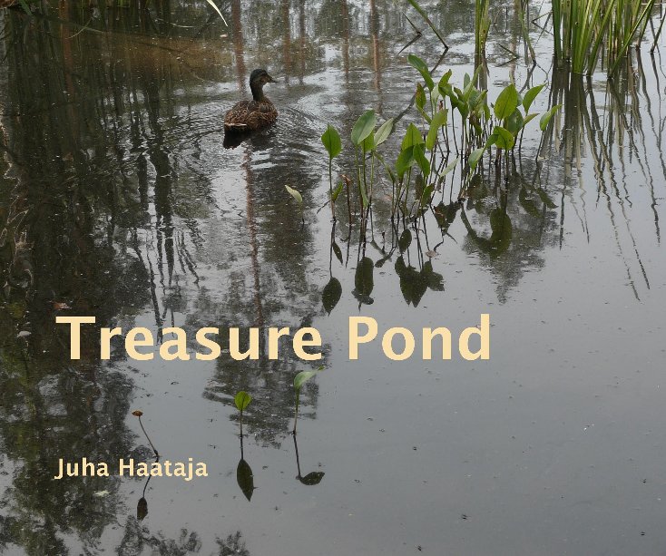 View Treasure Pond by Juha Haataja