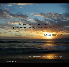 "La vie. Jours uniformes, jours monotones, jours remplis."  HARRY BERNARD book cover