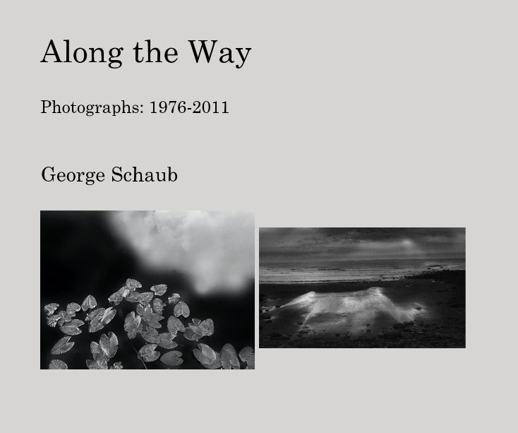 View Along the Way by George Schaub