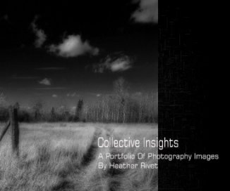 Collective Insights book cover