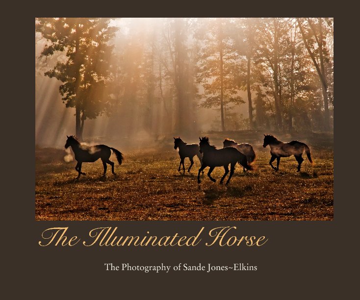 View The Illuminated Horse by Sande Jones~Elkins